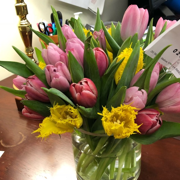 Meet your Posher, Robin - Picture 1 of 2